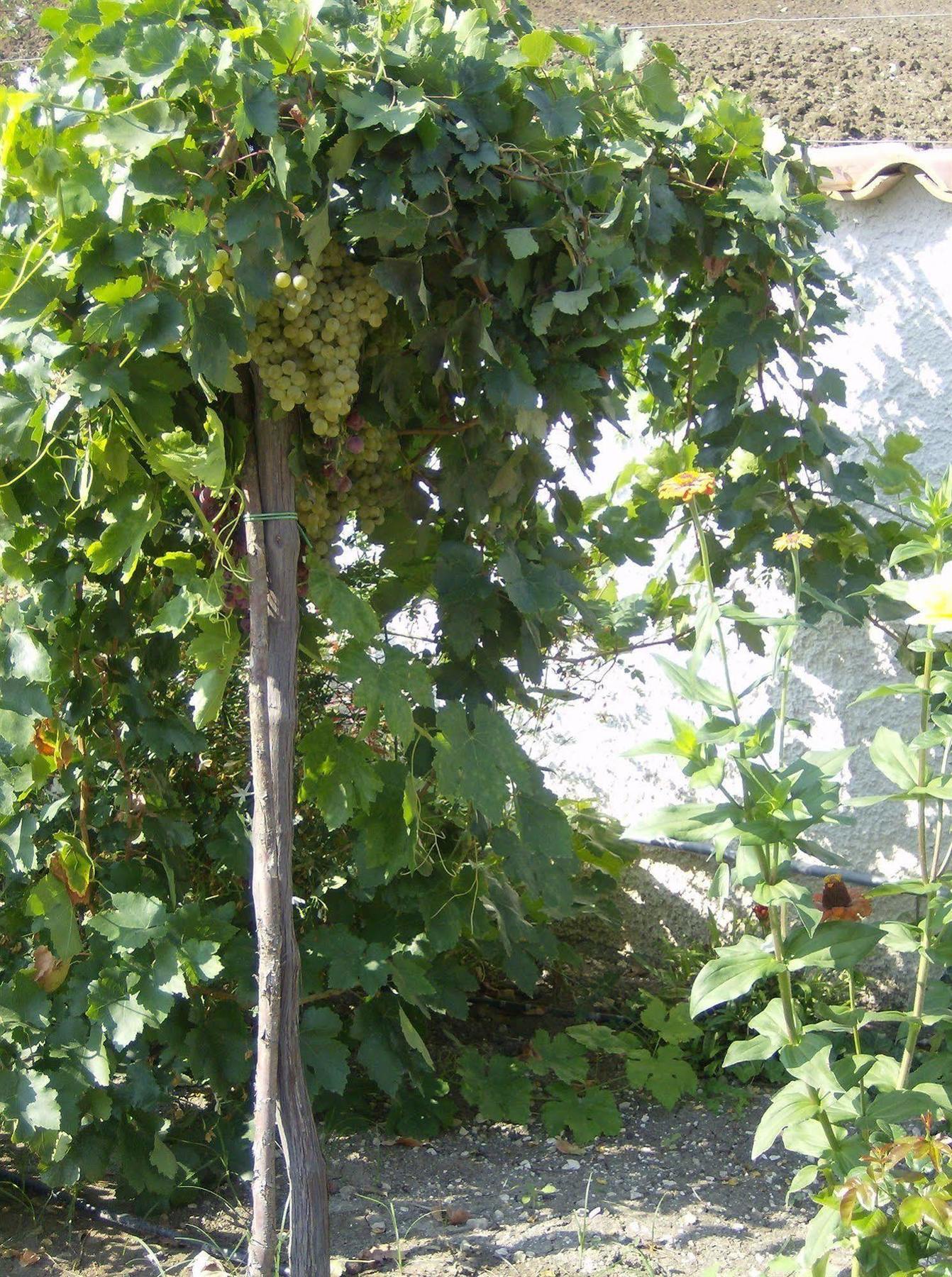Casale Margherita Cammarata Εξωτερικό φωτογραφία